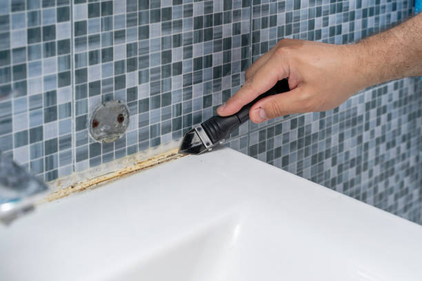 Best Residential Mold Remediation in Hubbard, TX