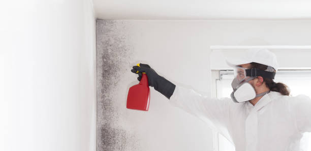 Best Mold Remediation for Specific Building Types in Hubbard, TX